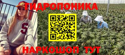 стафф Заволжье
