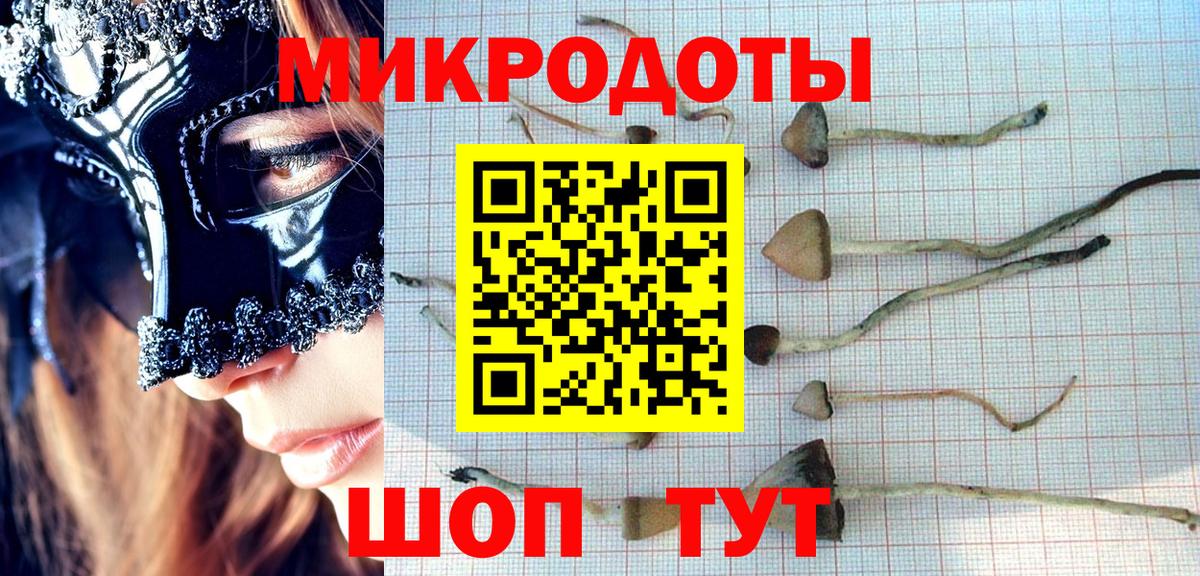 Джанкой  Галлюциногенные грибы GOLDEN TEACHER  Вход с VPN 